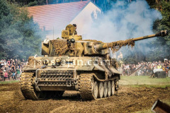 A0047803-©-Jan-Stojan-©