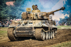 A0047806-©-Jan-Stojan-©