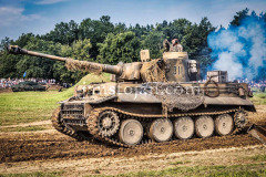 A0047822-©-Jan-Stojan-©