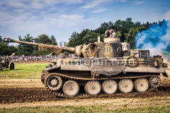 A0047825-©-Jan-Stojan-©