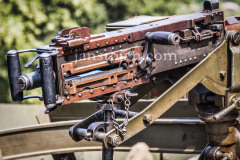 A0049802-©-Jan-Stojan-©