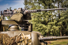 A0049811-©-Jan-Stojan-©