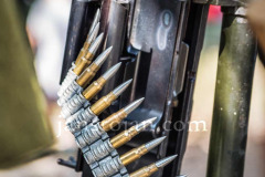 A0049854-©-Jan-Stojan-©