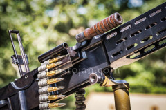 A0049898-©-Jan-Stojan-©