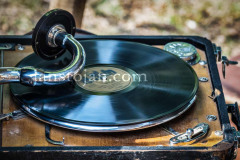 A0049917-©-Jan-Stojan-©