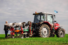 A0069297-©-Jan-Stojan-©