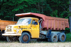 30-A0065706-©-Jan-Stojan-©