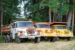 42-A0065960-©-Jan-Stojan-©