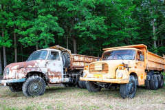 47-A0065974-©-Jan-Stojan-©