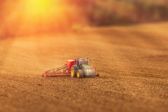 02-jan-stojan-201-imgp3476