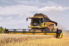 05-jan-stojan-200-imgp3268