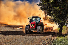 10-jan-stojan-201-imgp0086