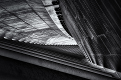 Jan-Stojan-©-401-IMGP7000