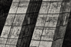 Jan-Stojan-©-401-IMGP7004