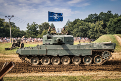 12-a0047913-acr-acrorez-a-vineta