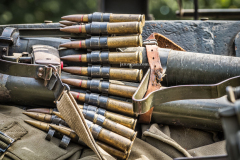 a0049830-acr-acrorez-a-vineta