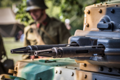 a0049859-acr-acrorez-a-vineta