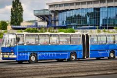 10-A0056203-©-Jan-Stojan-©
