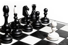 Jan-Stojan-©-101-A0010720-Sam-v-boji