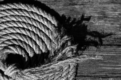 Jan-Stojan-©-101-lano