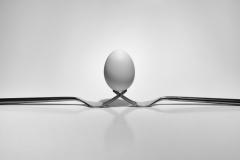 Jan-Stojan-©-101-vejce