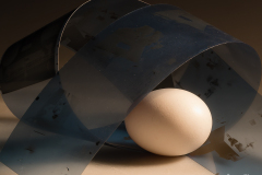 Jan-Stojan-©-101-vejce2