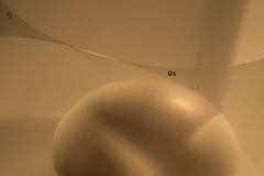 Jan-Stojan-©-101-vejce3