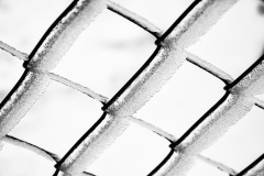 Jan-Stojan-©-300-IMGP6310