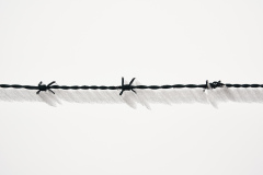 Jan-Stojan-©-300-IMGP6316