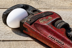 Jan-Stojan-©-300-RIDGID