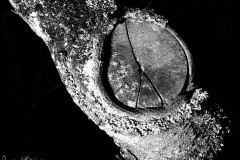 Jan-Stojan-©-600-suk