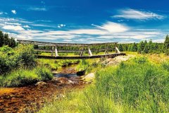 01-jan-stojan-600-a0000059-flajsky-potok-ii