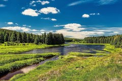 02-jan-stojan-600-a0000034-flaje