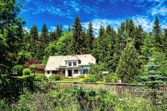 06-jan-stojan-402-a0000133-na-samote-v-lese-u-flajske-prehrady