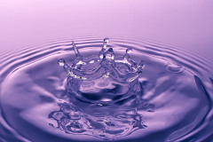 04-jan-stojan-100-imgp9953