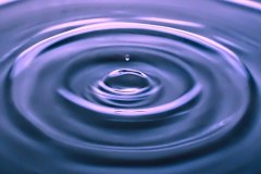 10-jan-stojan-100-imgp0586