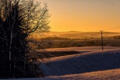 08-jan-stojan-500-imgp5339-detail