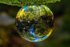 18-jan-stojan-501-imgp1432