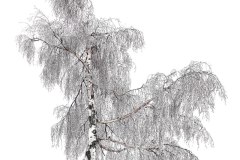 19-jan-stojan-510-imgp6347