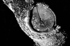 21-jan-stojan-600-suk