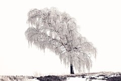 24-jan-stojan-510-imgp6337