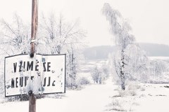 jan-stojan-510-imgp6341