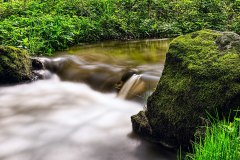 jan-stojan-600-imgp7502