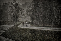 jan-stojan-790-imgp250