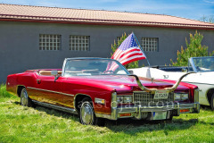 OPENING PARTY 2025 v Muzeu JK CLASSICS