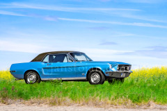 103-A0055924-©-Jan-Stojan-©