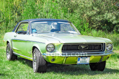 108-A0055675-©-Jan-Stojan-©