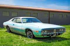 119-A0055654-©-Jan-Stojan-©