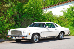 121-A0055536-©-Jan-Stojan-©