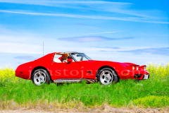 125-A0056056-©-Jan-Stojan-©